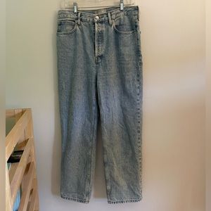 Everlane Way High Rigid Jeans